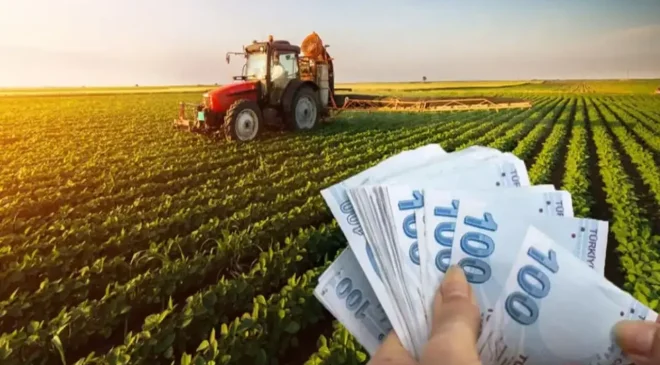 Çiftçiye Yeni Destek Düzenlemesi: Tarımsal Üretimde Ödemeler Artırıldı